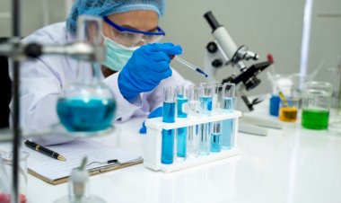 Diploma in Medical Lab Technology